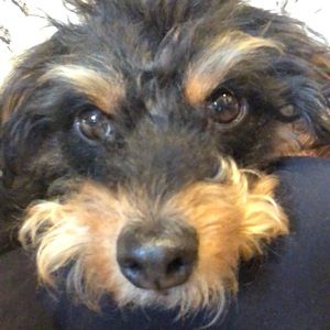 Meet your Posher, Patricia